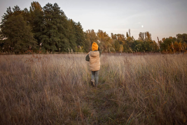 Küçük çocuk, güzel sonbahar ormanı arka planında kuru bir çayırda tek başına koşuyor. - Fotoğraf, Görsel