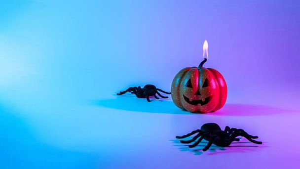 Happy halloween. Black night spider, scary spooky pumpkin on night neon helloween background. Happy Halloween concept. Frame. Copy space - Photo, Image