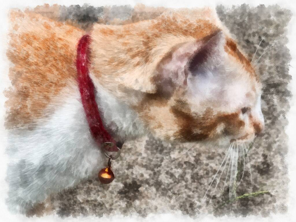 blanco naranja gato acuarela estilo ilustración impresionista pintura. - Foto, Imagen