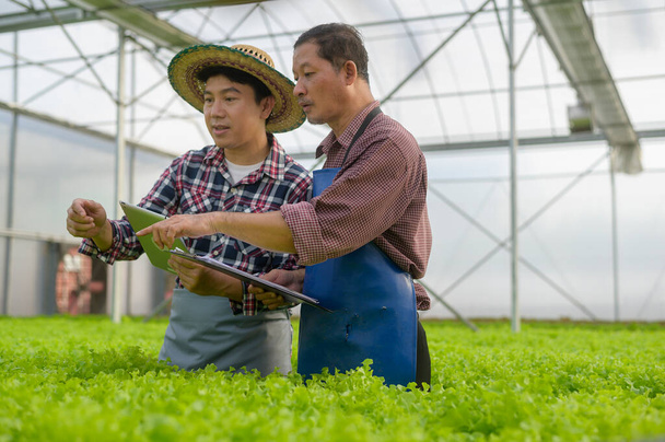 Happy farmers working using tablet in hydroponic greenhouse farm, clean food and healthy eating concept - Foto, Bild