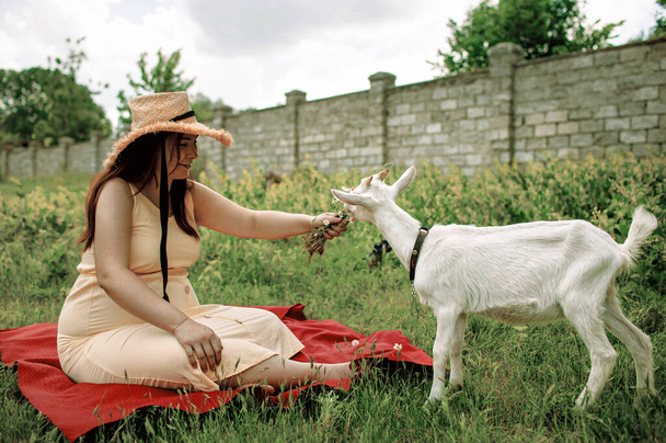 Village animals. Happy pregnant woman hugs goat, concept of unity of nature and man. Life in the countryside. - Foto, imagen
