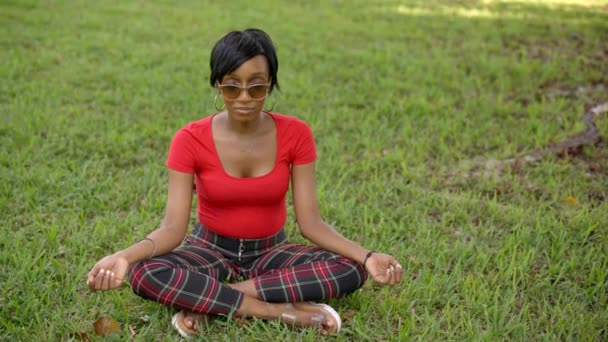 Vídeo en cámara lenta mujer joven meditando en el parque 4k - Metraje, vídeo