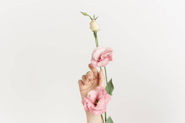 bouquet of flowers in hands close-up light background decoration beauty - Φωτογραφία, εικόνα
