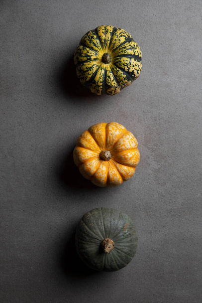 A variety of different autumnal pumpkins and gourds on a dark concrete background - Fotografie, Obrázek
