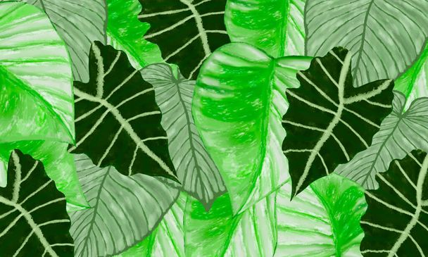 green tropical leaves spring nature background - 写真・画像