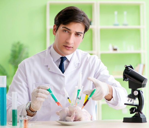 Laboratorioavustaja testaamassa GMO-kanaa - Valokuva, kuva