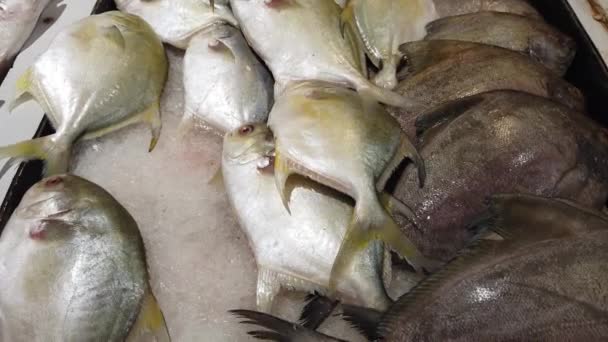 Νωπά ψάρια και θαλασσινά σε πάγκο της τοπικής αγοράς - Πλάνα, βίντεο
