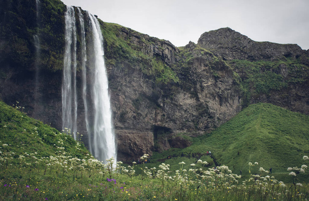 The view of the beautiful waterfall surrounded by green vegetation. Seljalandsfoss, Iceland. - Фото, изображение