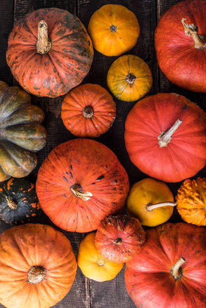 Pile of many multi colored pumpkins and gourds of different shapes and colors. Different kinds Colorful pumpkins decoration - Foto, afbeelding