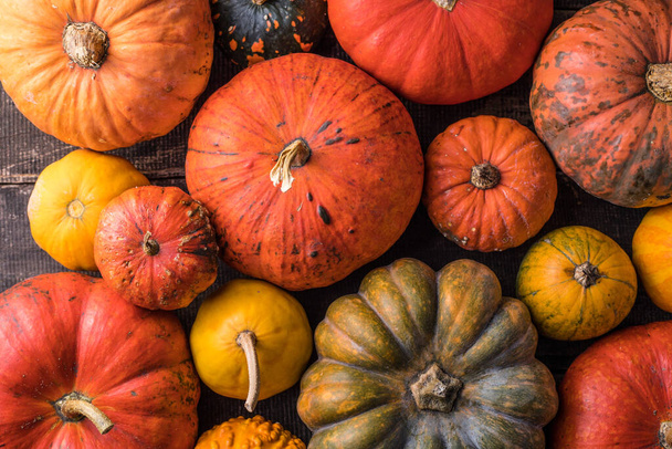 Pile of many multi colored pumpkins and gourds of different shapes and colors. Different kinds Colorful pumpkins decoration - Φωτογραφία, εικόνα