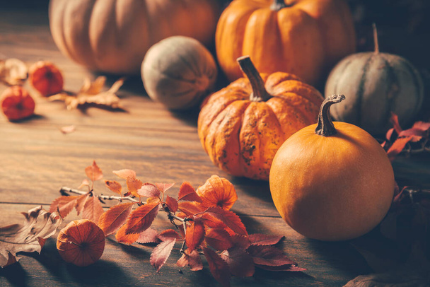 Pumpkins for Thanksgiving on wooden background - Foto, afbeelding