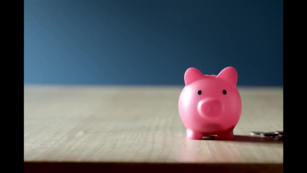 Sparschweine, die auf einem Haufen Münzen stehen. Eine Hand steckt eine Münze in ein Sparschwein. Geld zu sparen ist eine Investition in die Zukunft. Investmentgeschäft mit Kopierraum für Text - Filmmaterial, Video