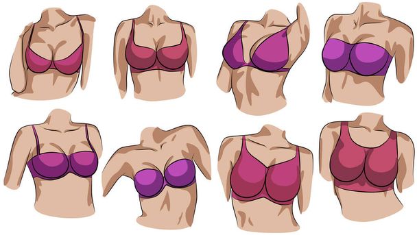 Fashion collection of bra for girls - Vector, Image