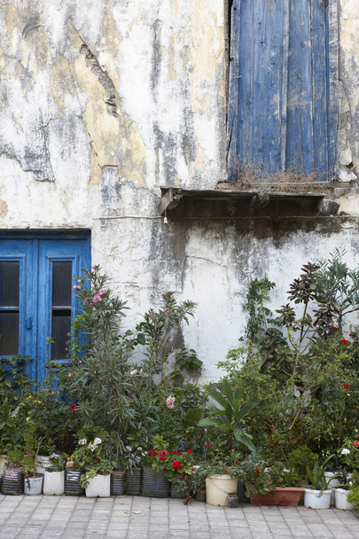 Fachada antigua con plantas y flores en Creta. Países Bajos
 - Foto, imagen