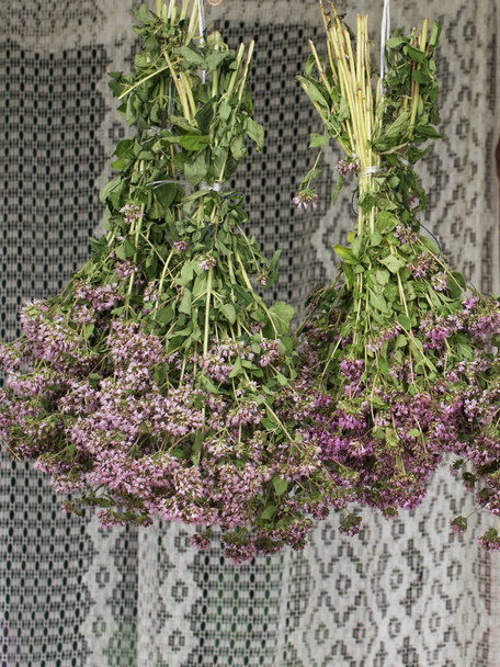 Un mucchio di erbe di origano. Una pianta curativa con fiori viola. - Foto, immagini