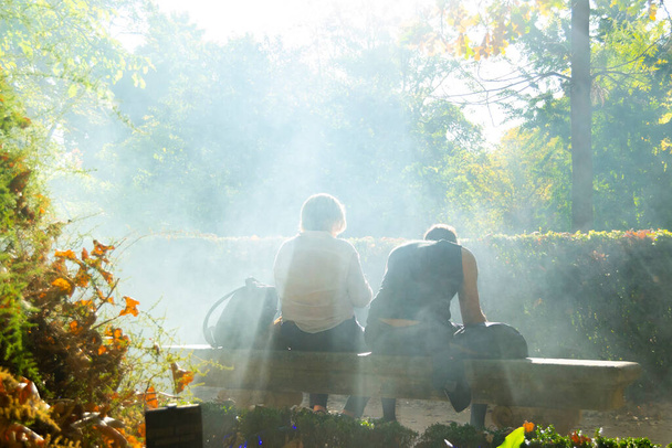 スペインのマドリードの王立植物園の石のベンチに座っている2人の横にある秋の木々の枝を通過する太陽の光の薄明かり。ヨーロッパだ。写真. - 写真・画像