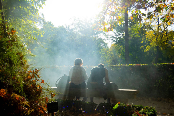 Сумеречные лучи солнца проходят через ветви осенних деревьев рядом с двумя людьми, сидящими на каменной скамейке в Королевском ботаническом саду Мадрида, Испания. В Европе. Фотография. - Фото, изображение