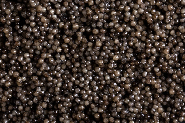 Caviar de esturión como fondo. Un montón de caviar negro. Vista superior. - Foto, imagen