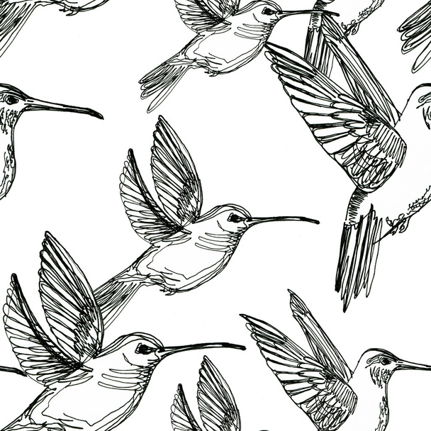 Colibri drawing seamless background - Foto, immagini