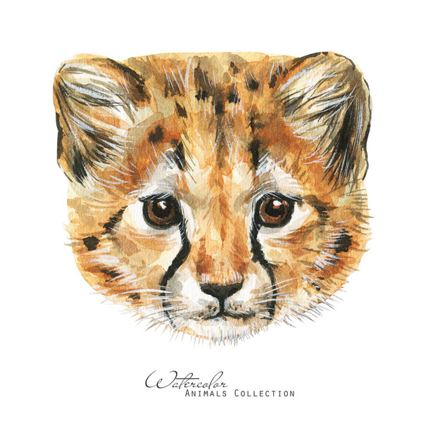 Watercolor baby cheetah. Animal cub illustration - Photo, Image