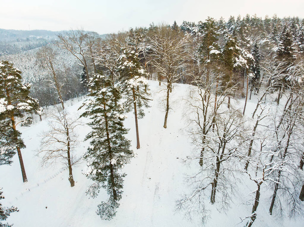 Beautiful aerial view of snow covered pine forests. Rime ice and hoar frost covering trees. Scenic winter landscape near Vilnius, Lithuania. - Foto, Bild