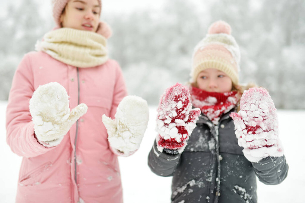 Two adorable young girls having fun together in beautiful winter park. Cute sisters playing in a snow. Winter activities for family with kids. - Photo, Image
