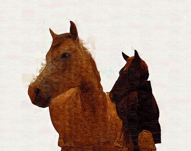 カラフルな馬のアートイラスト｜グランジペインティング - 写真・画像
