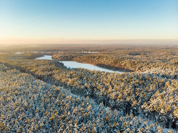 Beautiful aerial view of snow covered pine forests. Rime ice and hoar frost covering trees. Scenic winter landscape near Vilnius, Lithuania. - Foto, immagini