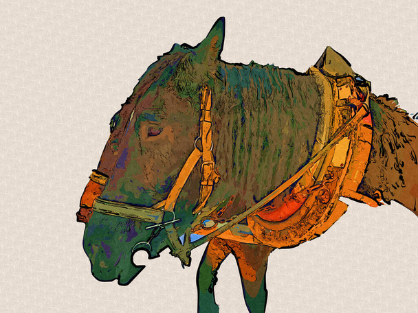 カラフルな馬のアートイラスト｜グランジペインティング - 写真・画像