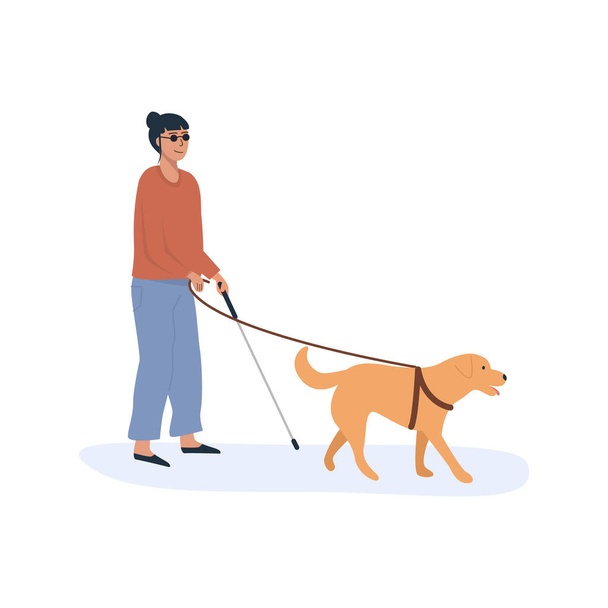 盲導犬が一緒に歩いている。犬の助けを借りて杖を持つ障害のある女性。フラットスタイルの文字。ベクターイラスト. - ベクター画像