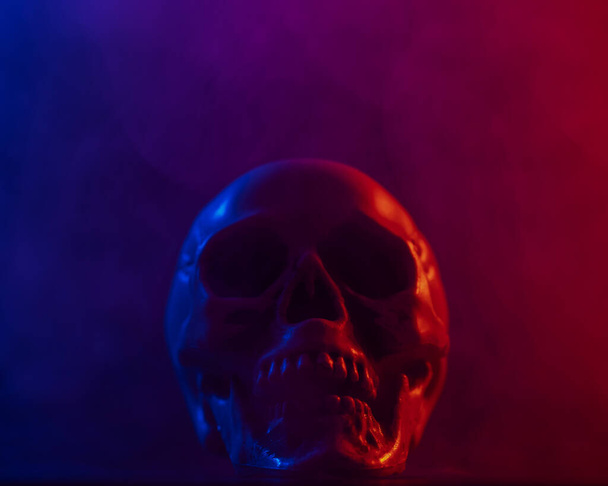 Human skull in pink and blue smoke on a black background. Halloween. - Фото, зображення