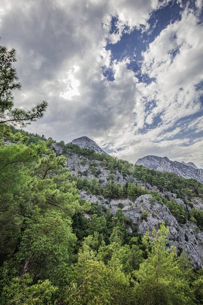 stone rocks in the mountains of Turkey.  - Фото, изображение
