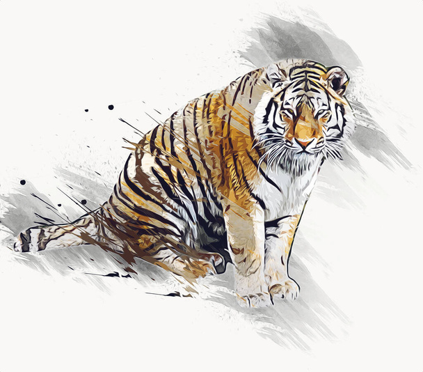 tygrys sztuka ilustracja stary rysunek - Zdjęcie, obraz