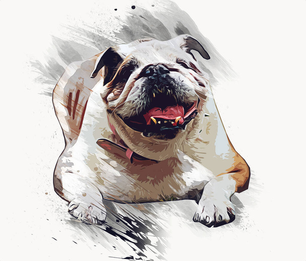 mooie bulldog hond geïsoleerd, illustratie, kunst, retro, antieke tekening schilderij schets - Foto, afbeelding