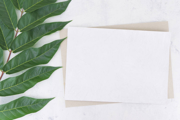 Макет для вітальних листівок, запрошень, візиток, дякую вам листівку з білого і темного картону на світлому вінтажному тлі з гілкою зеленого листя маньчжурської горіхової рослини
 - Фото, зображення