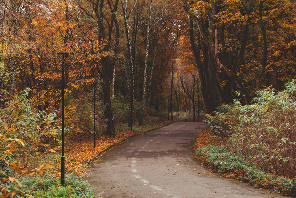lidé chůze venku v podzimním městském parku podzimní sezóna kopírovat prostor - Fotografie, Obrázek