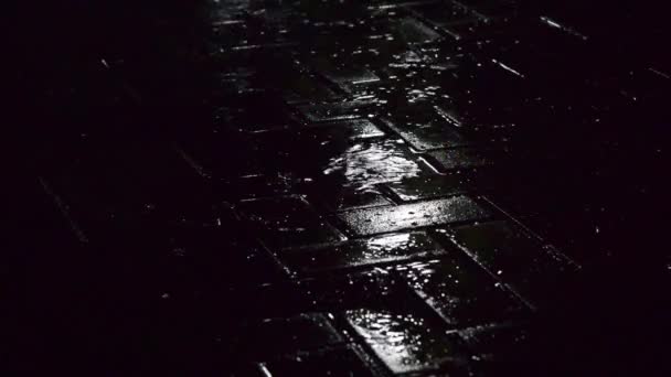 Deštivý noční vítr a dešťová noc - Záběry, video