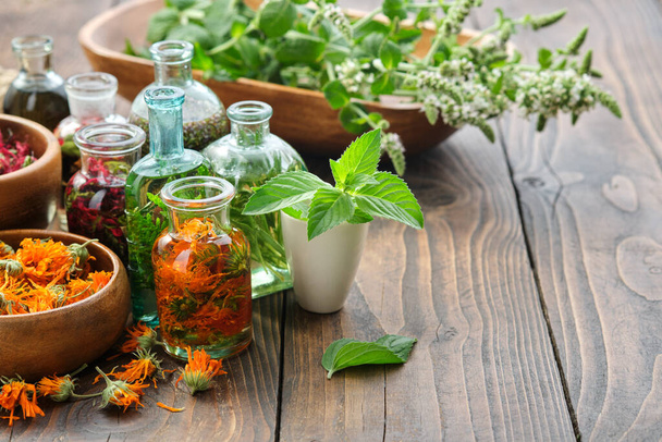 Bottles of essential oil or infusion of herbs  - calendula, thuja, rosemary, mint, sage, heather, healing plants and medicinal herbs on table. Alternative herbal medicine. Aromatherapy. - Zdjęcie, obraz
