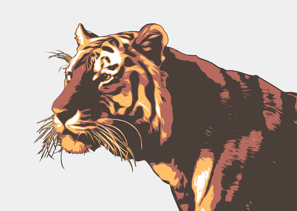 Ilustración del tigre vectorial. Cabeza de tigre de Bengala sobre fondo negro. - Vector, Imagen