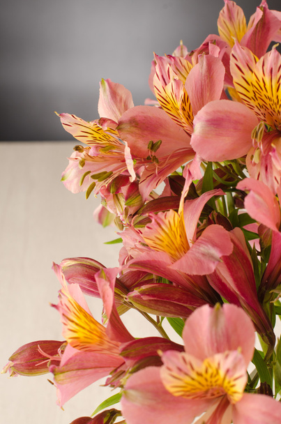 Ahşap üzerine bir güzel alstroemeria çiçekler buket - Fotoğraf, Görsel