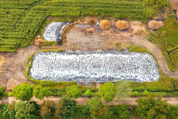 Aerial view of a large number of old worn tires - Photo, Image