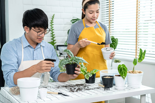 Gardener couple in casual clothes, preparing soil for transplanting plant into a new pot and using spray bottle watering plants to take care of plants in the room at home while hobby activity together - Fotoğraf, Görsel