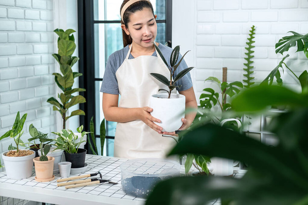 Asian woman gardener in casual clothes, take care of plants and holding a pot with plant after transplanting plant into new pot in the room at home while hobby activity, Concept of home garden - Φωτογραφία, εικόνα