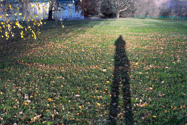 Cień człowieka z długimi nogami. Wydłużony cień na trawie z żółtymi liśćmi. - Zdjęcie, obraz