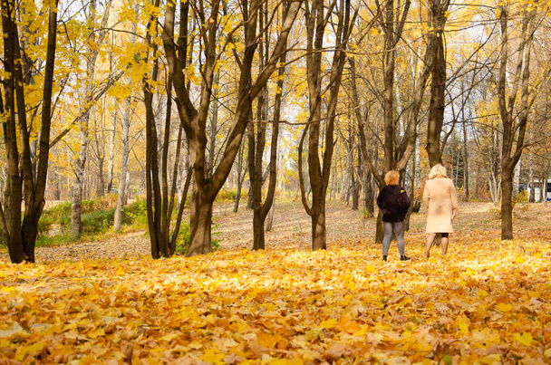Two Caucasian women walking in Autumn city park with falling leaves. Maple trees and colorful flying leaves in the wind. Layer of foliage covers the ground around. Mood foto. - Foto, imagen