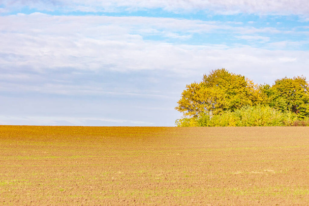 Herbstliche Landschaft auf dem Feld. Wald, Bäume, Blätter, Himmel. - Foto, Bild