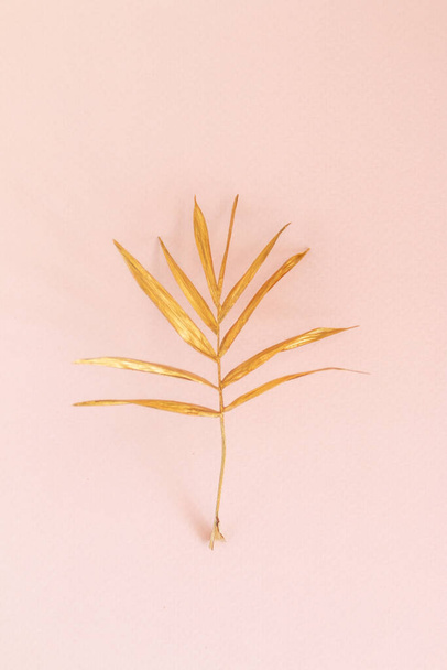 golden painted palm leaf on pink background - Foto, Bild