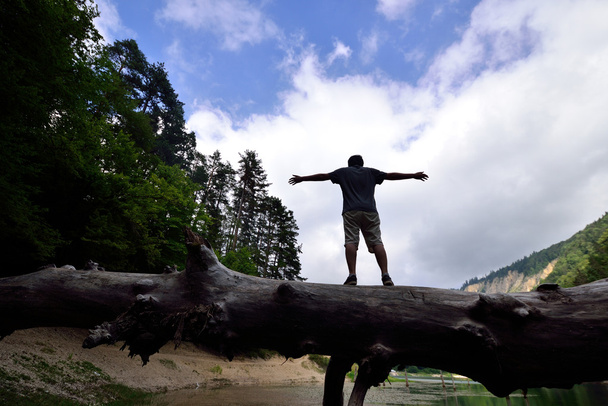 Porträt eines jungen Erwachsenen, der über einen Baumstamm läuft und Balanc zeigt - Foto, Bild