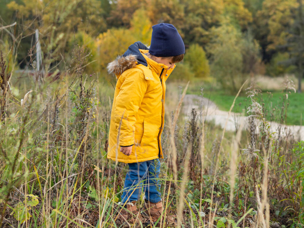 Curious boy at field with dried grass. Outdoor leisure activity for children in fall season. Kid's fashion for autumn days. - Fotografie, Obrázek
