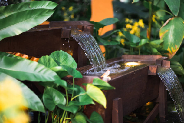 Каскадная вода в тропическом саду. - Фото, изображение